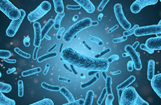 [bacteria image]