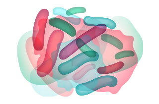 [Lactococcus Ferment Lysate]