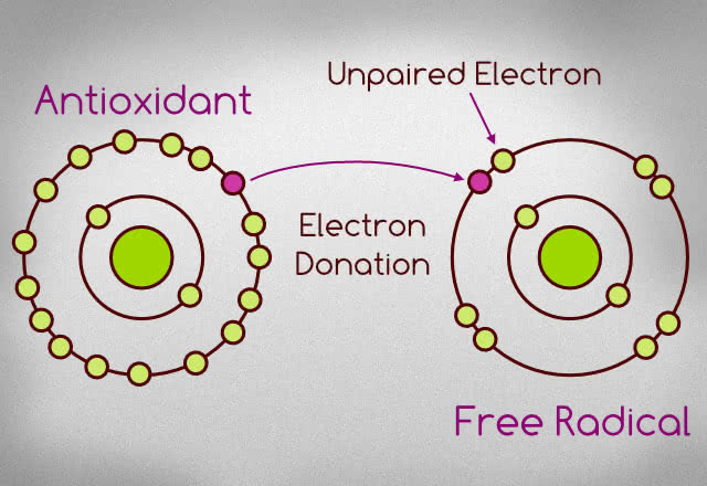 Eco-Peptide Therapy Collection